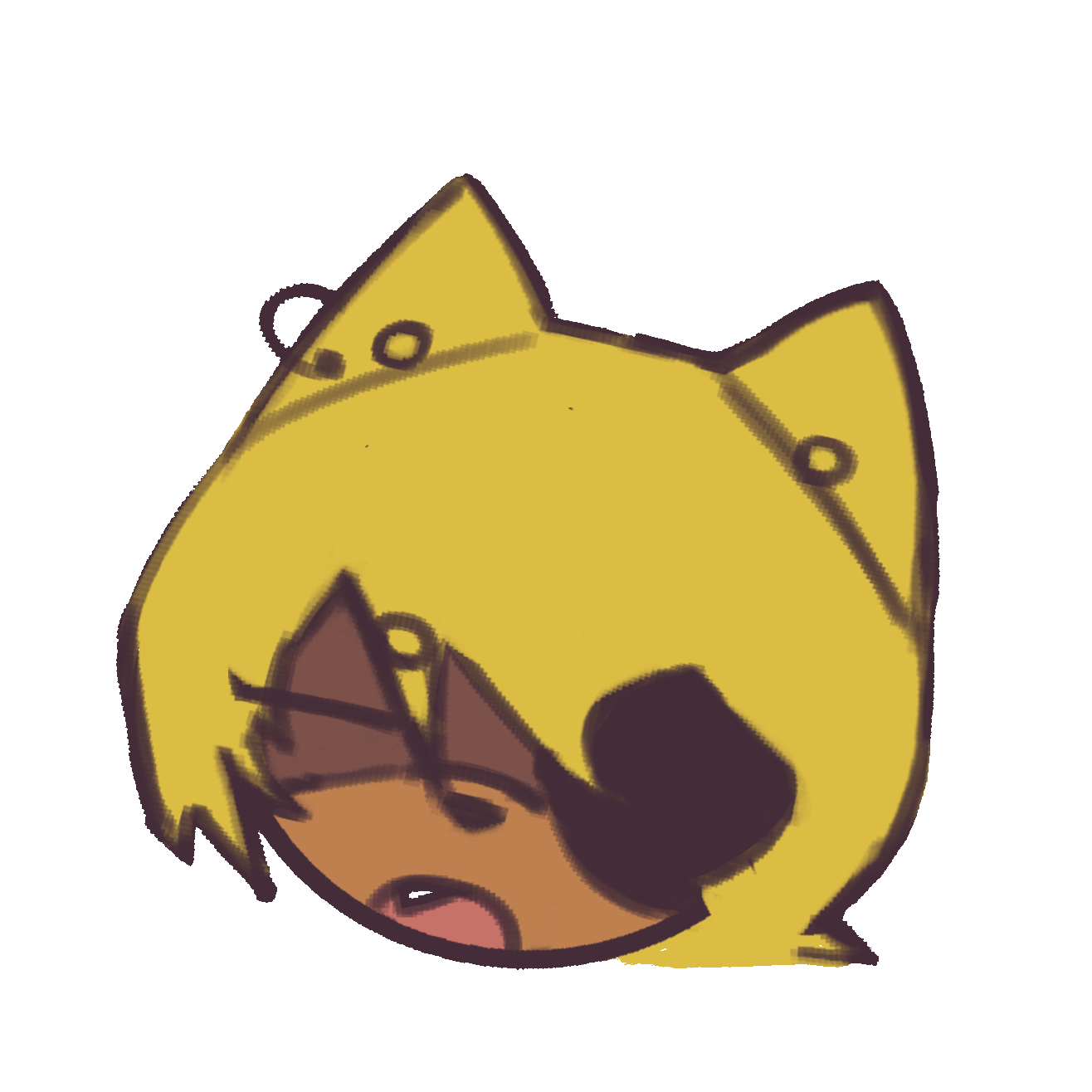Neco durmiendo